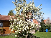 Garten16